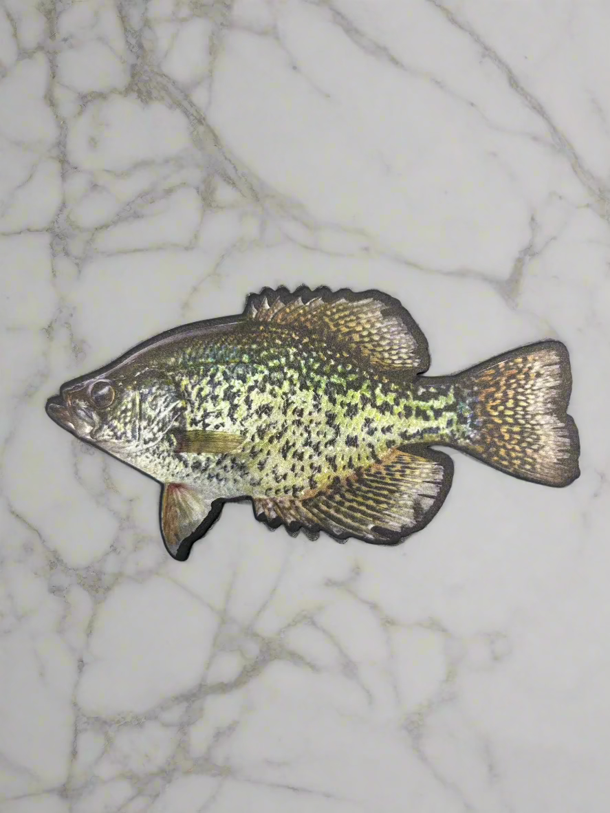 Fish Patch